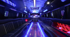 CollegeTown NY party bus for 3 to 20 passengers, fun for nightlife and celebrations